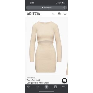Aritzia wilfred free dress